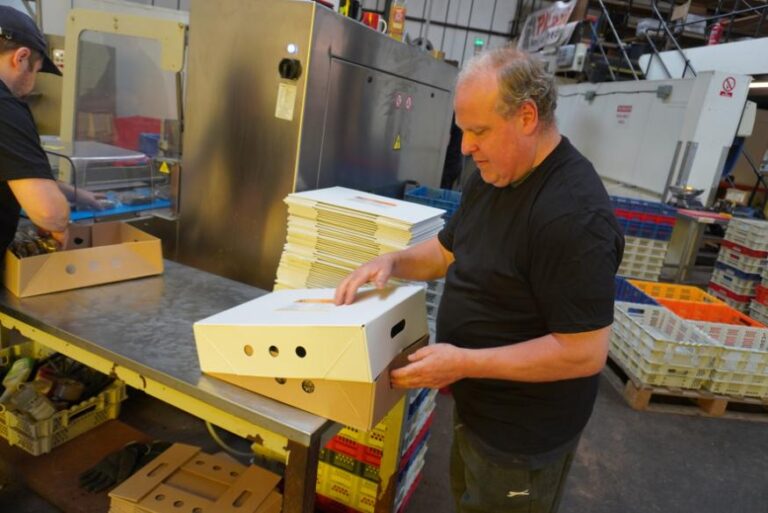 A worker packing the raw meat into boxes