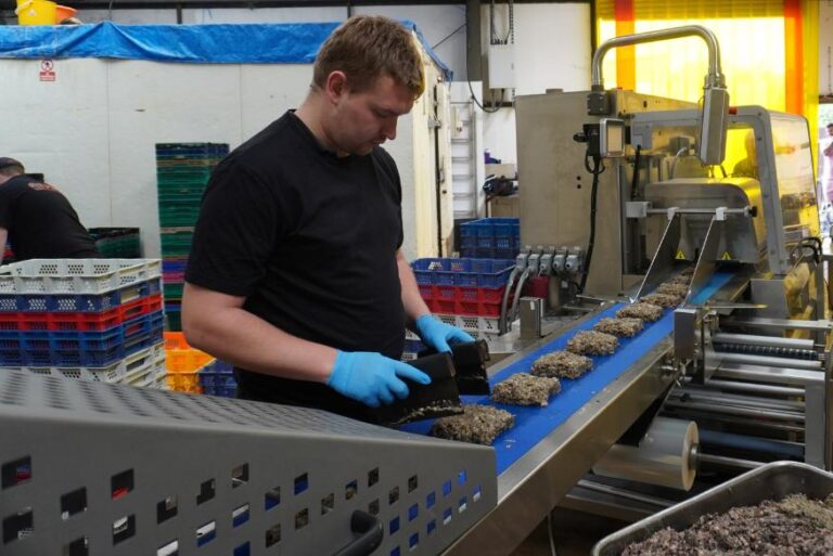 A worker wearing gloves, cutting raw meat into squares