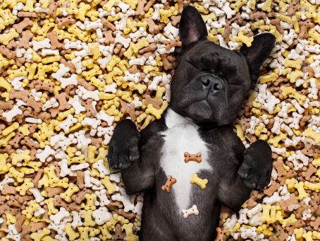 Easter Egg Alternatives: Healthy Dog Treats for a Hoppy Easter